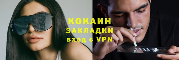 дживик Верея