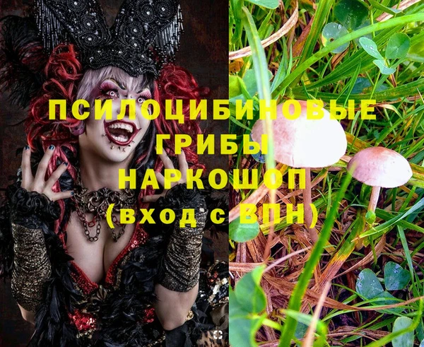 бутират Верхний Тагил