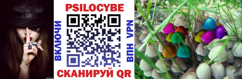 Купить закладки  Сковородино  Псилоцибиновые грибы мухоморы 